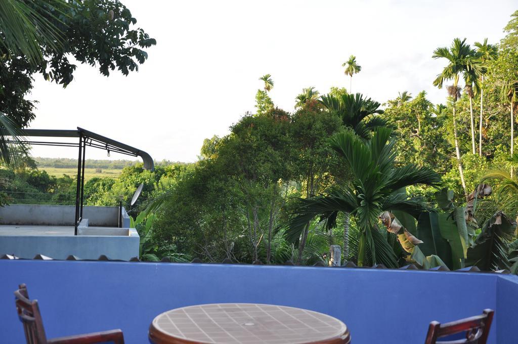 The Fence Bed and Breakfast Bentota Buitenkant foto