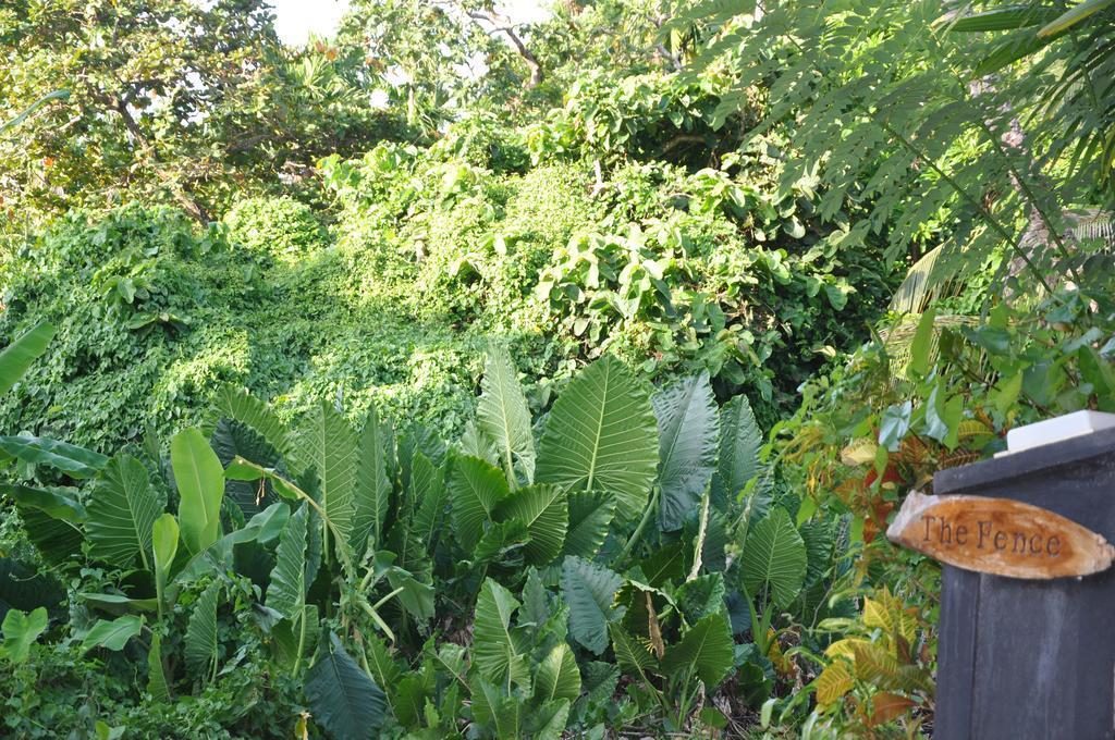 The Fence Bed and Breakfast Bentota Buitenkant foto