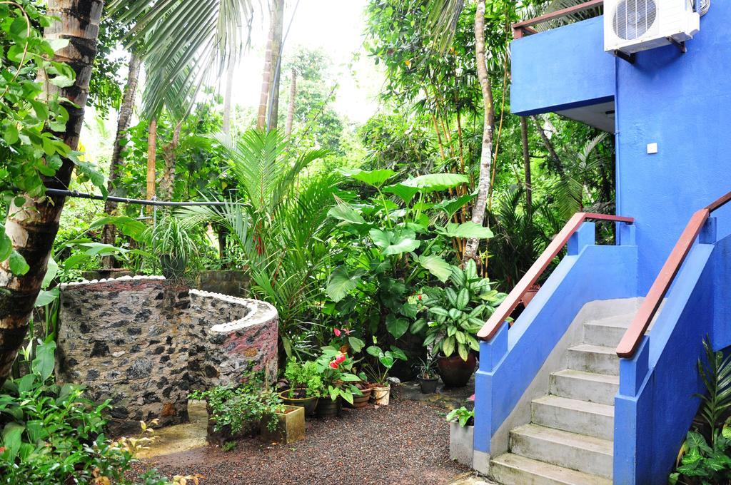 The Fence Bed and Breakfast Bentota Buitenkant foto